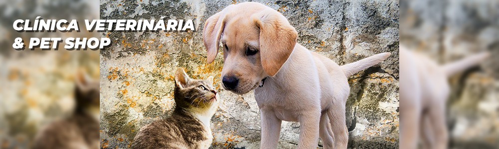 banner da empresa Cia de Cães & Gatos